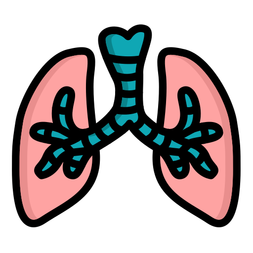 pulmones icono gratis