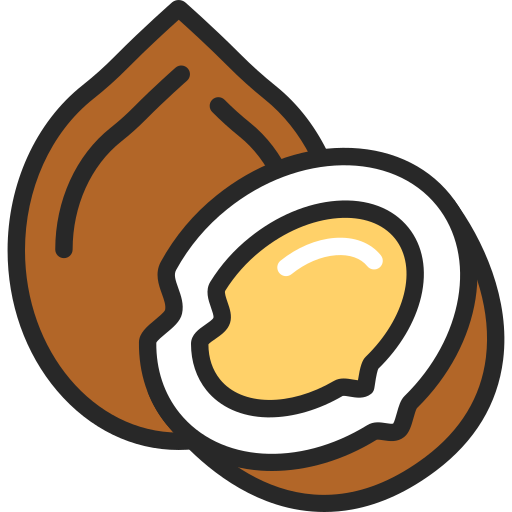 noix de coco Icône gratuit