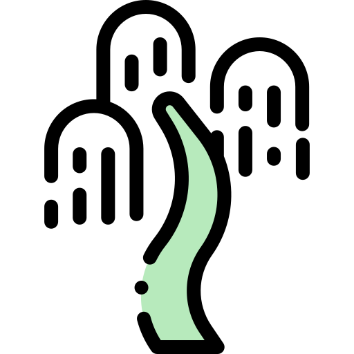 sauce llorón icono gratis