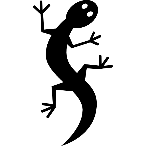 Gecko  free icon
