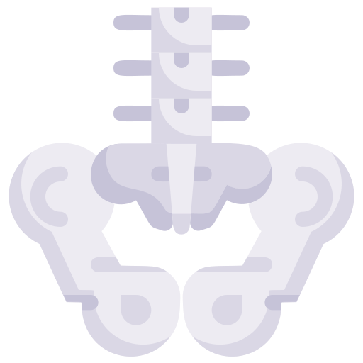 pelvis icono gratis