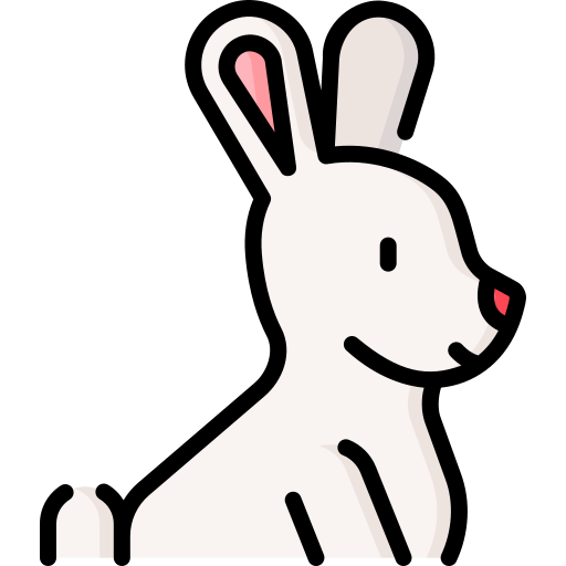 Rabbit Special Lineal color icon