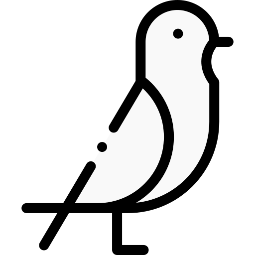 Pigeon - Free animals icons