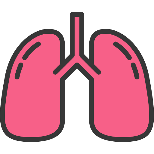 Lungs Generic Outline Color icon