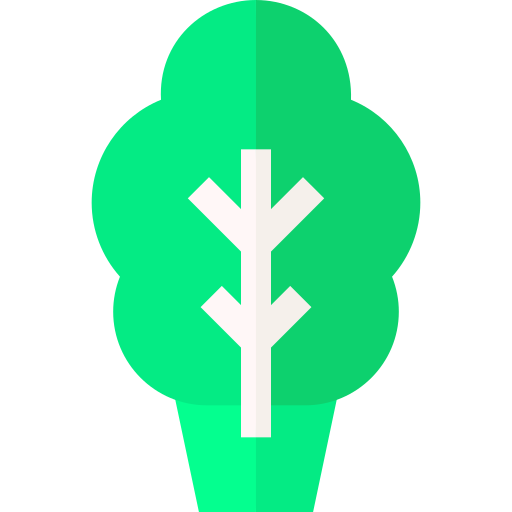 상추 무료 아이콘