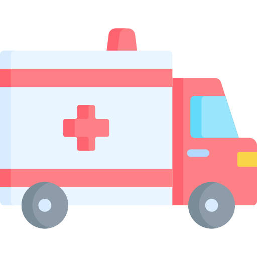 Ambulance Special Flat icon