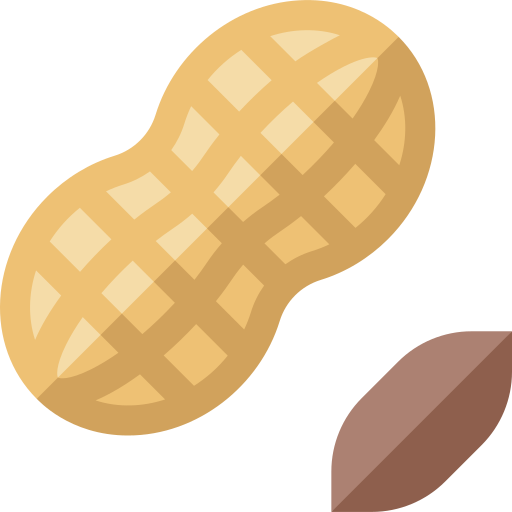 arachide Icône gratuit arachide Icône gratuit