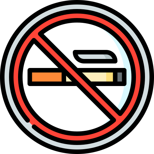 No smoking Special Lineal color icon