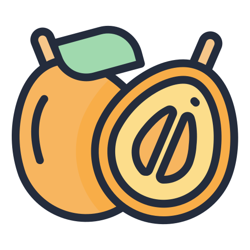 Loquat Generic Outline Color icon