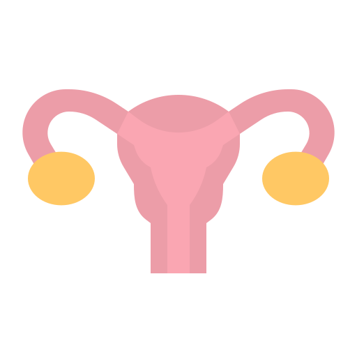 Uterus free icon Uterus free icon