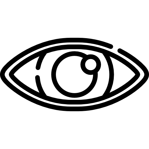 Eye Special Lineal icon