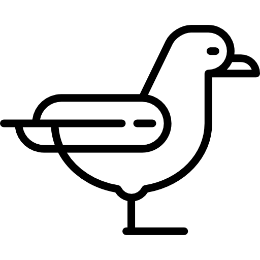 gaviota icono gratis