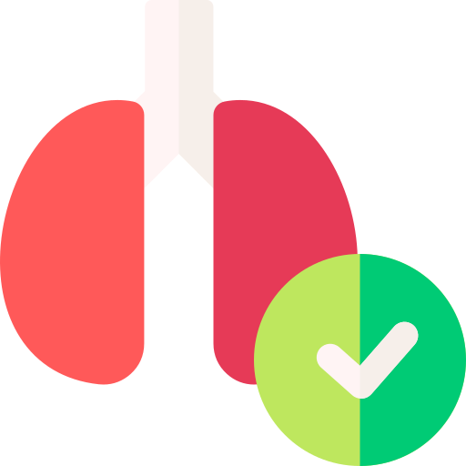 Легкие бесплатно иконка
