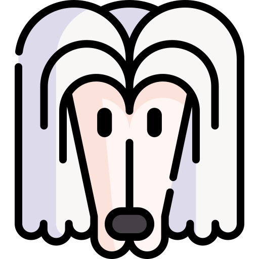 Afghan hound free icon