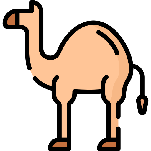 Camel Special Lineal color icon