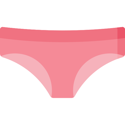 Woman Underwear Icon - Panties Png - Free Transparent PNG Clipart Images  Download