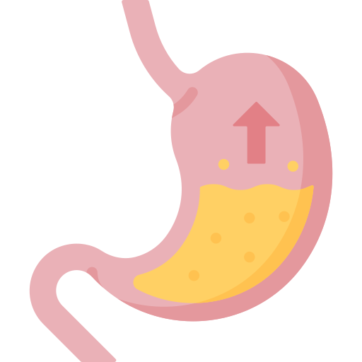 Gastric Special Flat icon