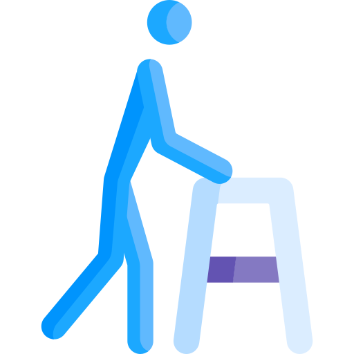 Walking Aid Special Flat Icon