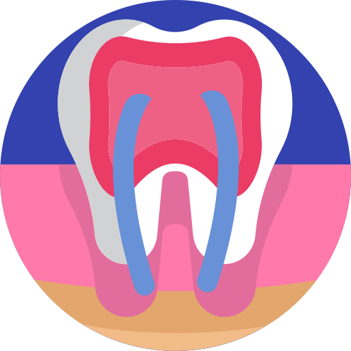 premolar icono gratis