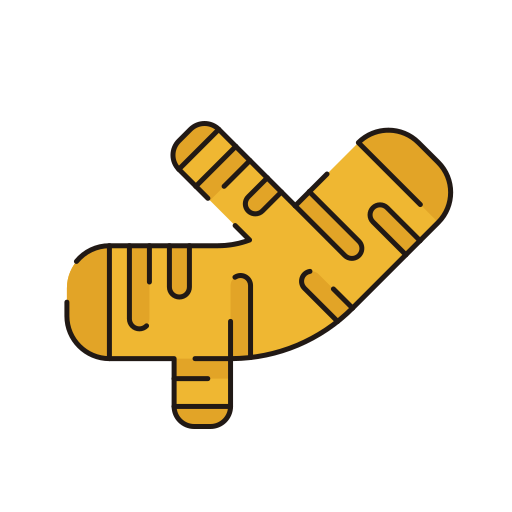 Ginger free icon