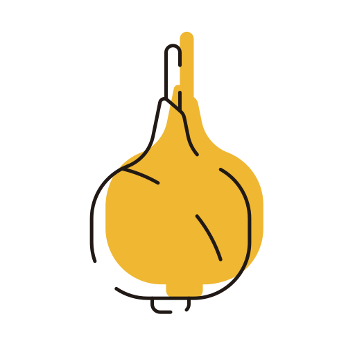 Onion free icon