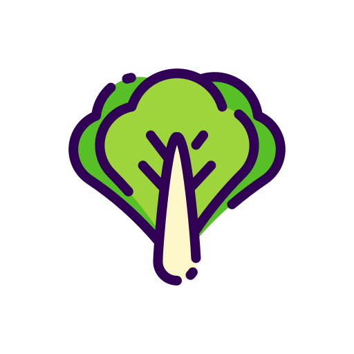 Lettuce free icon