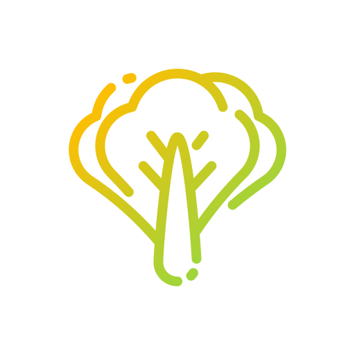 salat kostenlos Icon