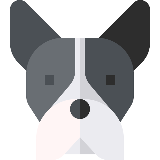 Boston Terrier - Iconos Gratis De Animales