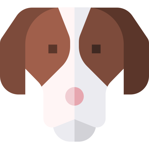 spaniel icono gratis