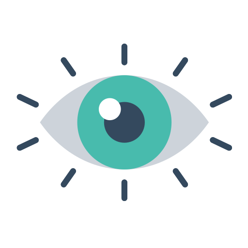 Vision Generic Flat icon