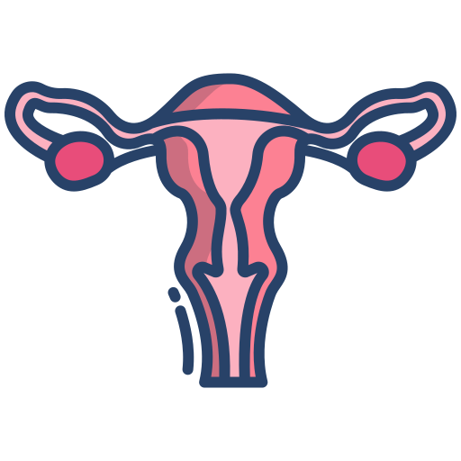 Uterus - free icon