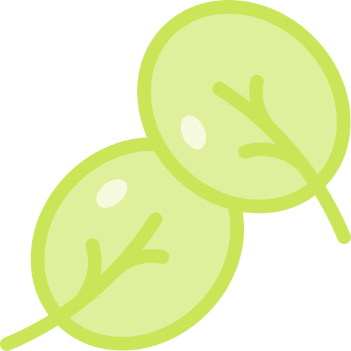 Шпинат бесплатно иконка