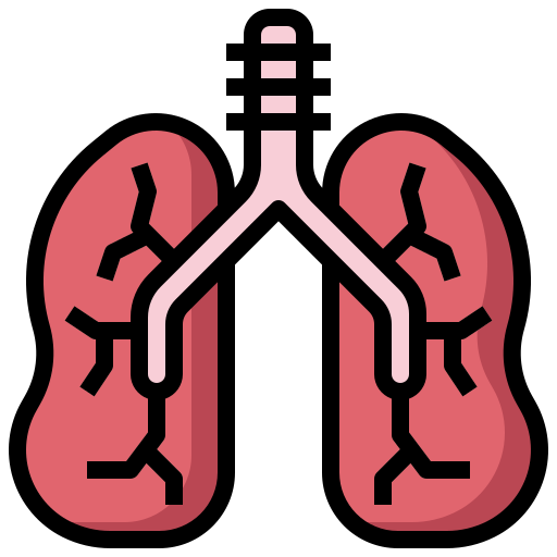 pulmones icono gratis