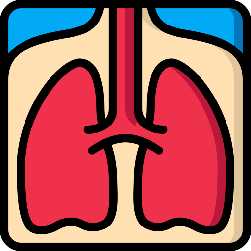 pulmones icono gratis