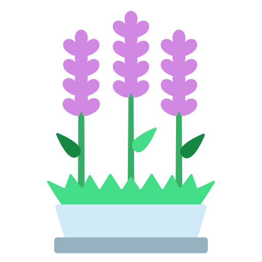 lavanda icono gratis