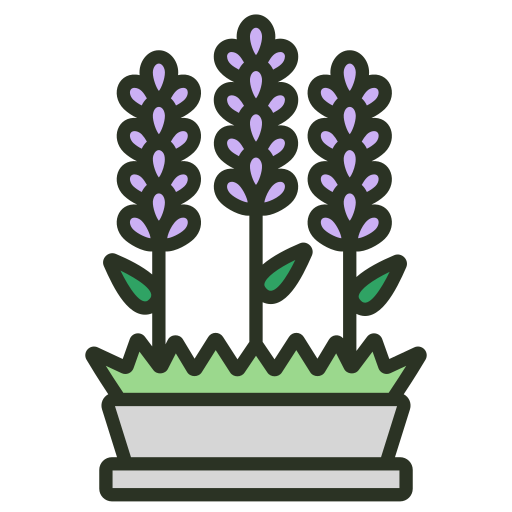 lavanda icono gratis