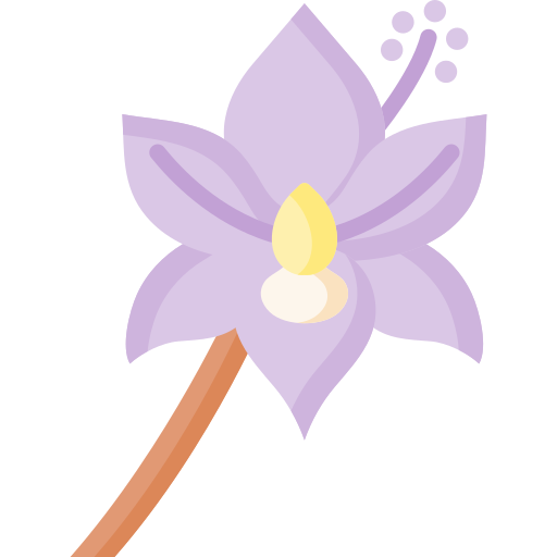 orquídea icono gratis