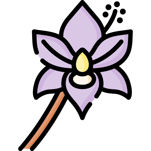 orquídea icono gratis