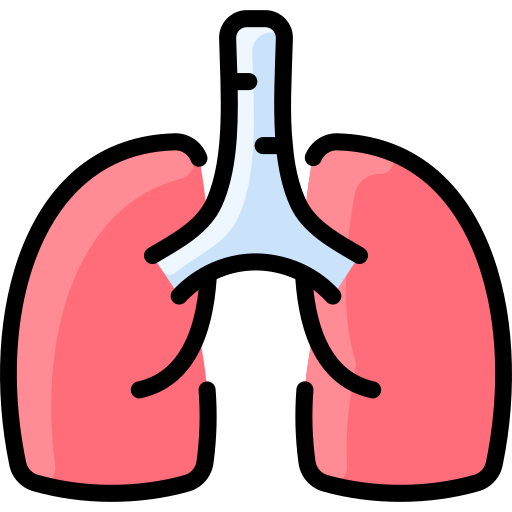 Lungs - Free healthcare and medical icons