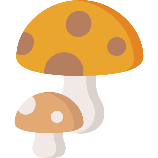 Mushroom Special Flat icon