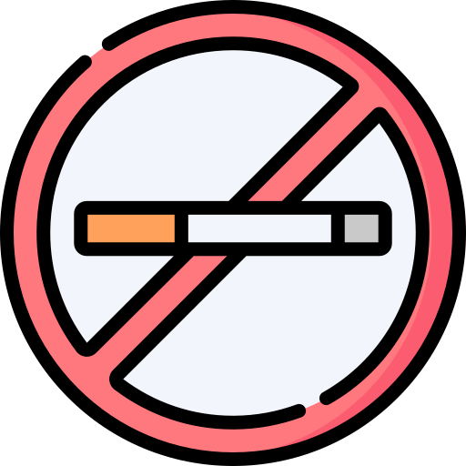 No smoking Special Lineal color icon