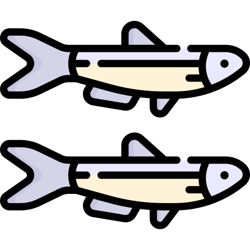 anchovie clipart