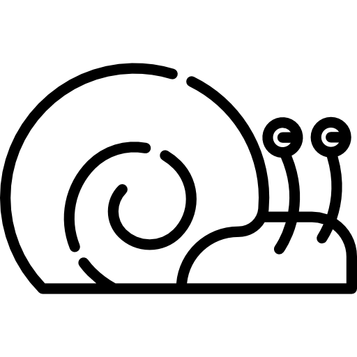 caracol icono gratis