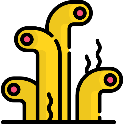 Коралловый бесплатно иконка