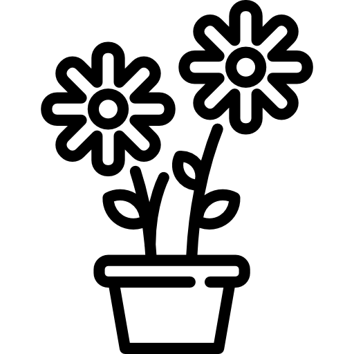 Flowers Special Lineal icon