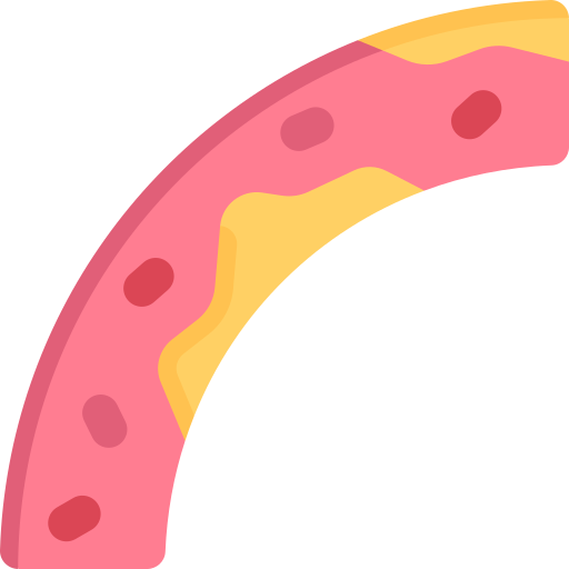 vascular grátis ícone
