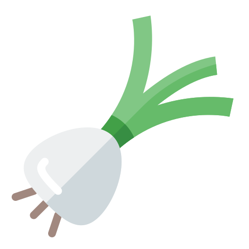 Premium Vector  Illustrator of shallots