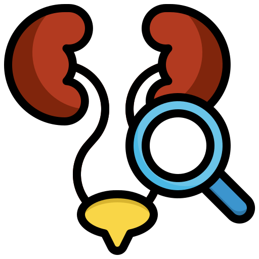 Kidney free icon Kidney free icon