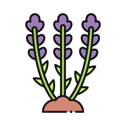 lavanda icono gratis