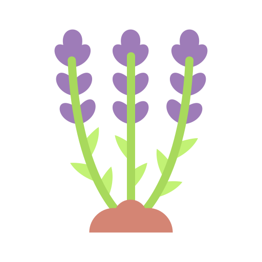 lavanda icono gratis